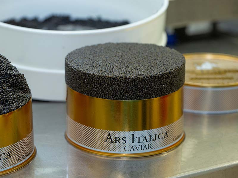 turista-italia-ars-italica-caviale-_0002_3
